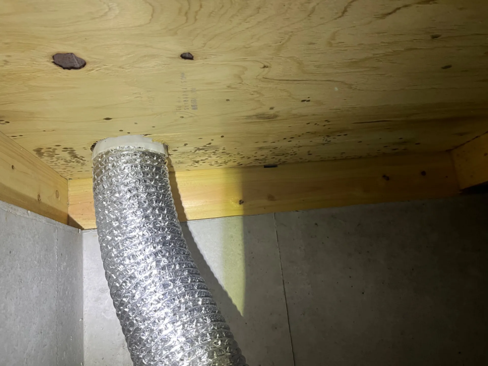 床下カビの影響：室内侵入と健康被害から身を守る方法