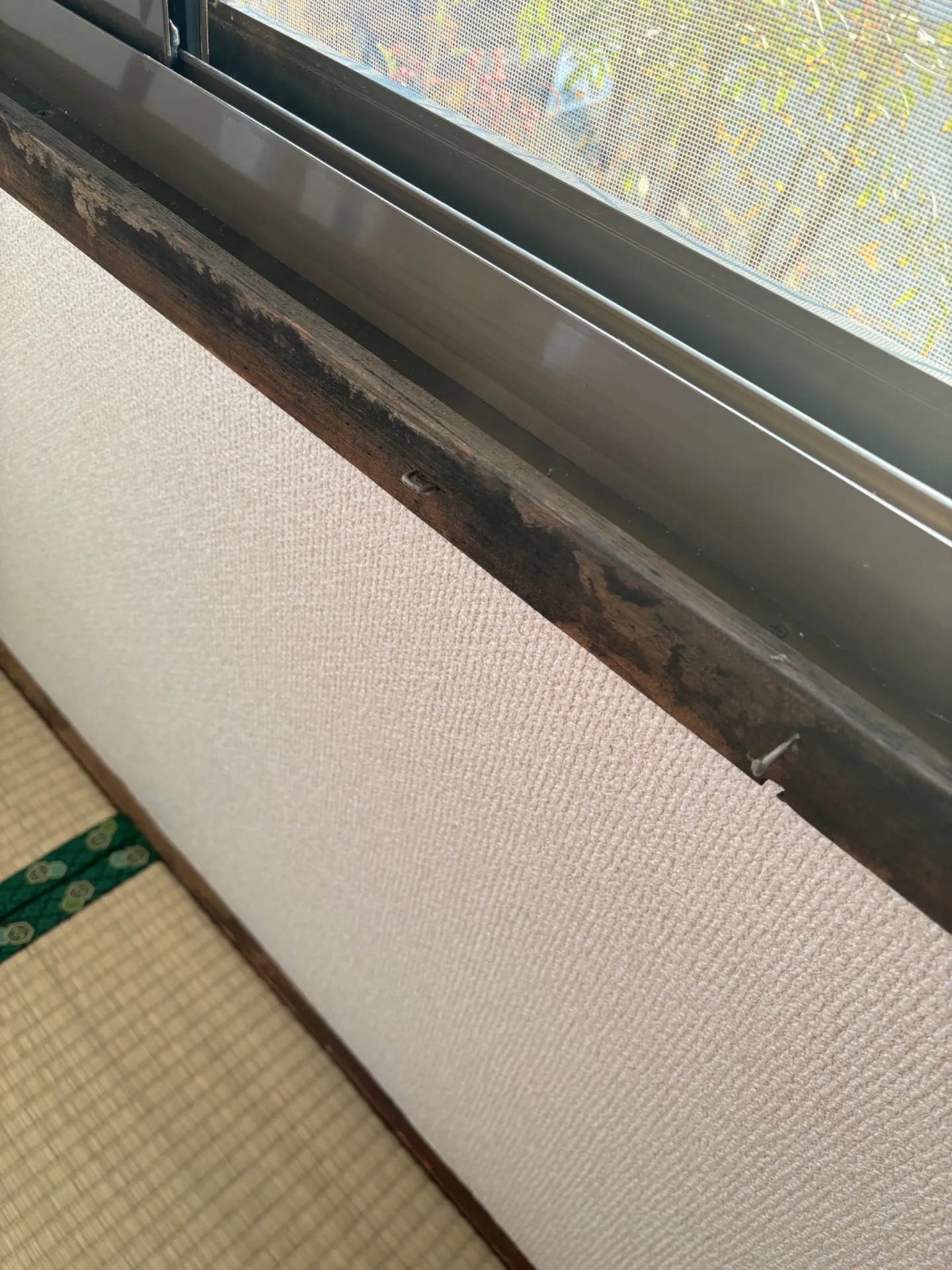 下関市の天井・壁カビ取り業者 - カビバスターズ福岡によるMIST工法®で家族を守る