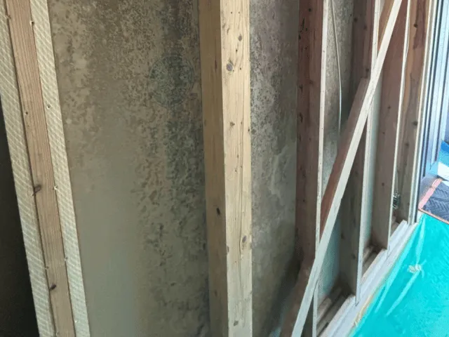 コンクリート・建材内部の水分が原因のカビ発生