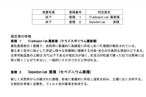 法人・建築事業者向けのカビ取り報告書・再発防止提案