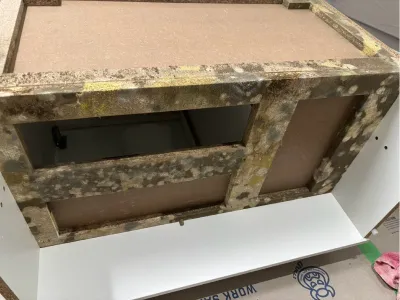 繰り返すカビを専門技術で解決｜広範囲に発生したカビ