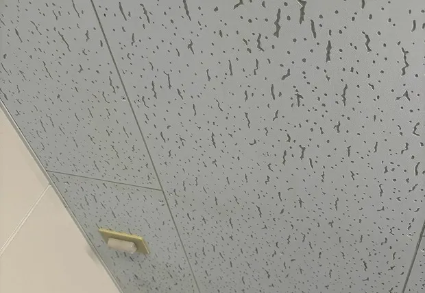 体育館のカビ、放置厳禁！