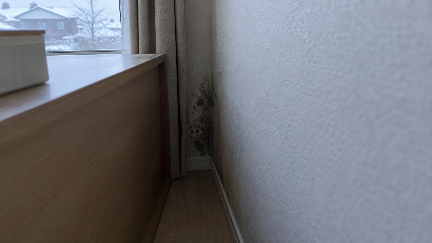 北側の部屋で家具裏の冷たい壁に発生した黒カビ